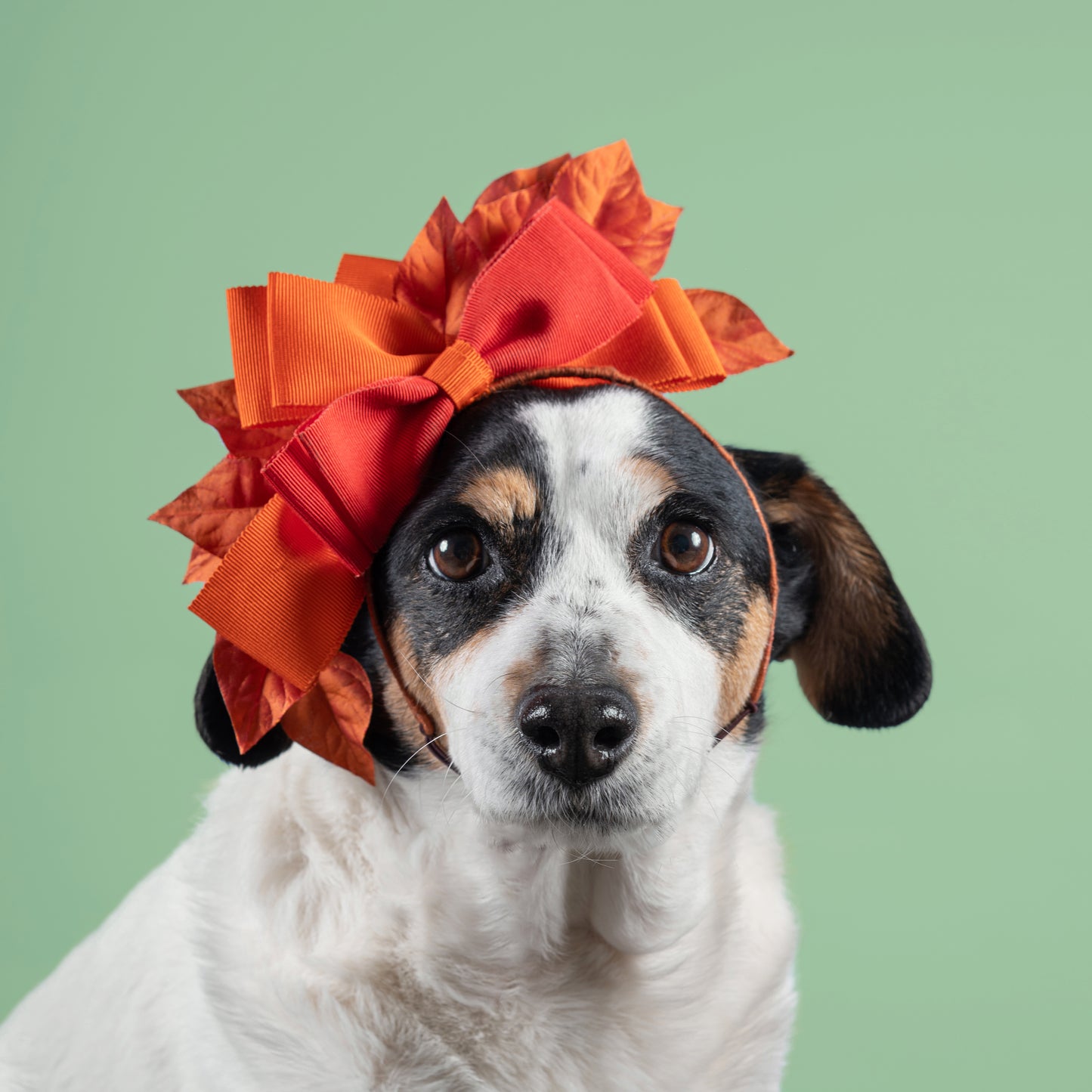 'Blown Away' By Justine Bradley-Hill