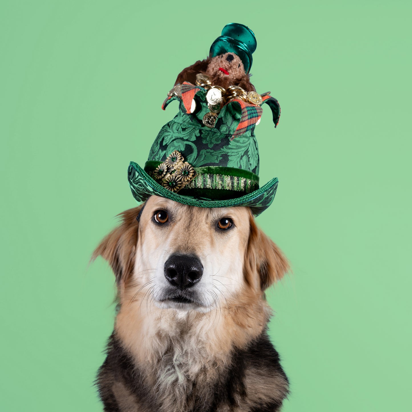 'Rainbone’s End' By Phillip Rhodes Hats