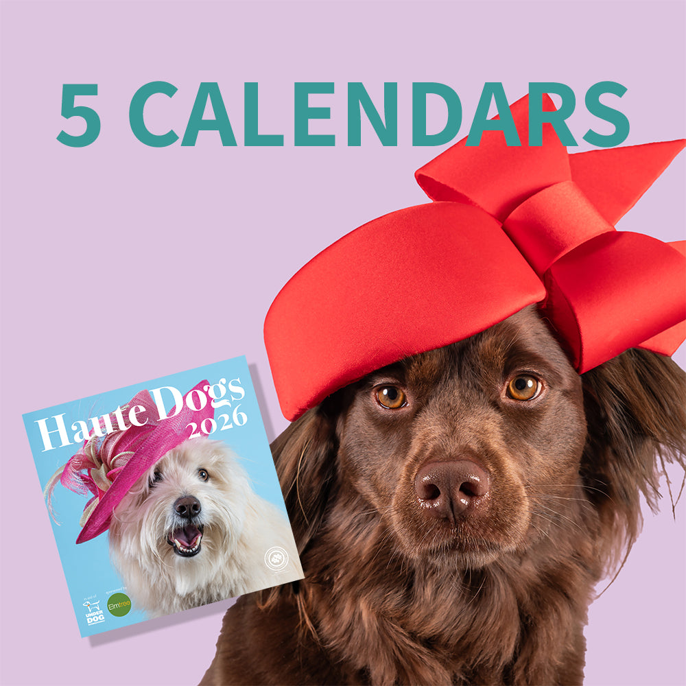 5 x 2026 Haute Dogs Calendars