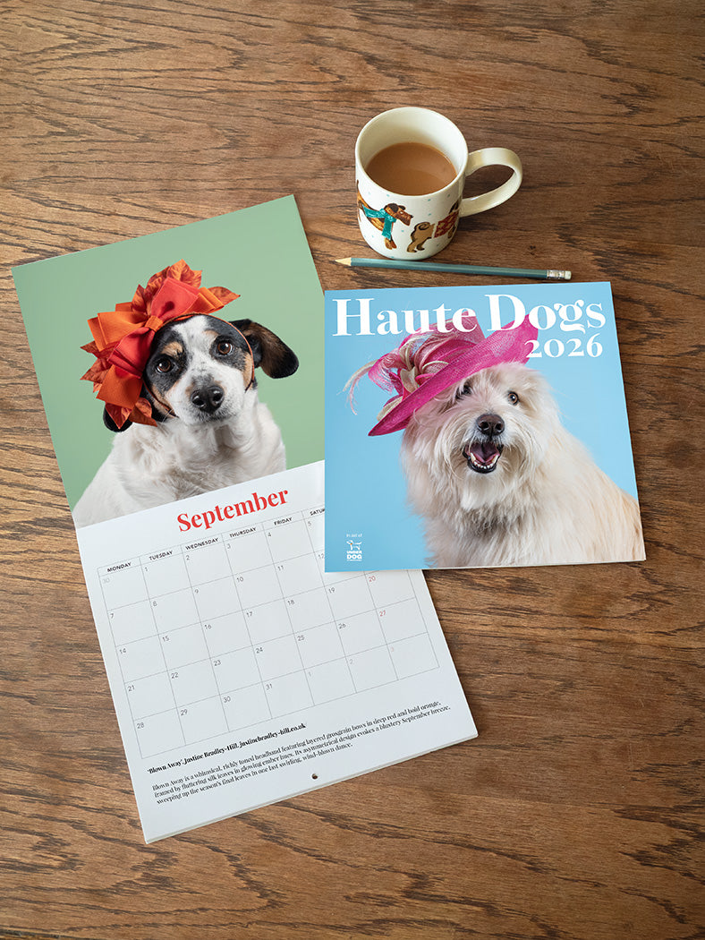 5 x 2026 Haute Dogs Calendars