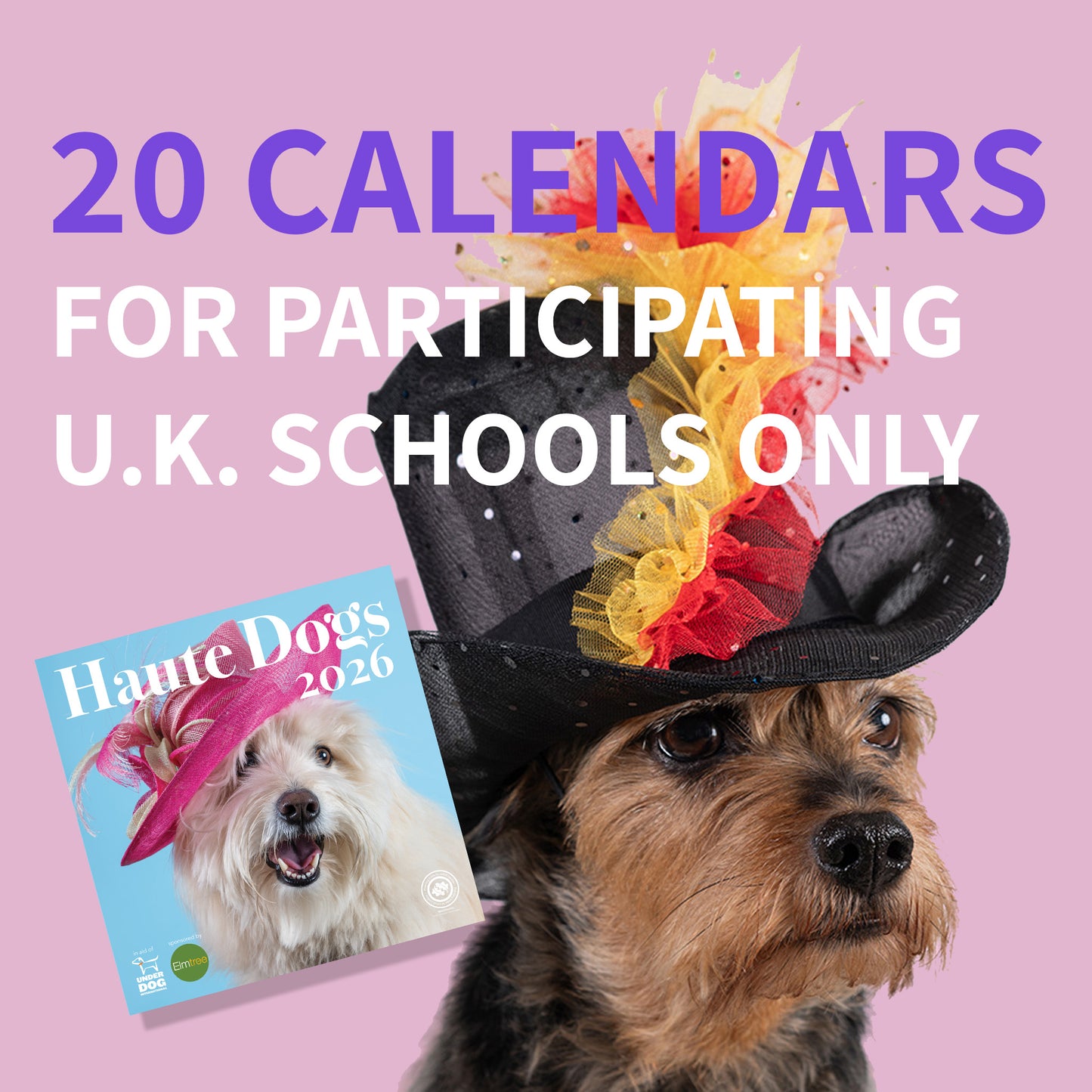 SCHOOLS FREE 20 - Participating U.K. Schools only
