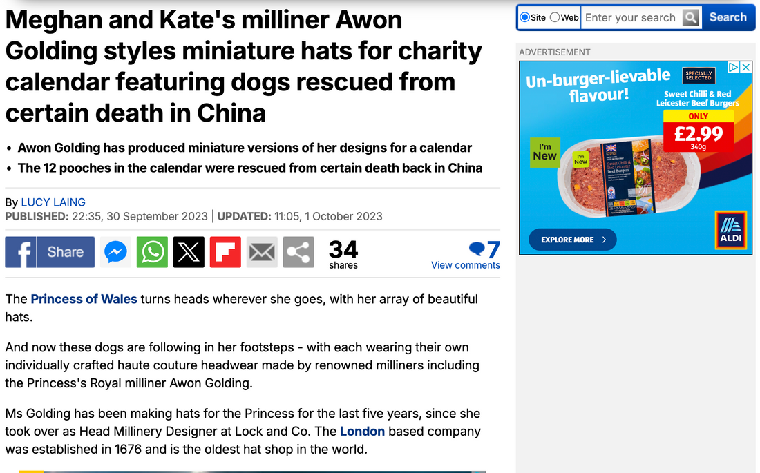 Haute Dogs on DailyMail.co.uk / 1 October 2023