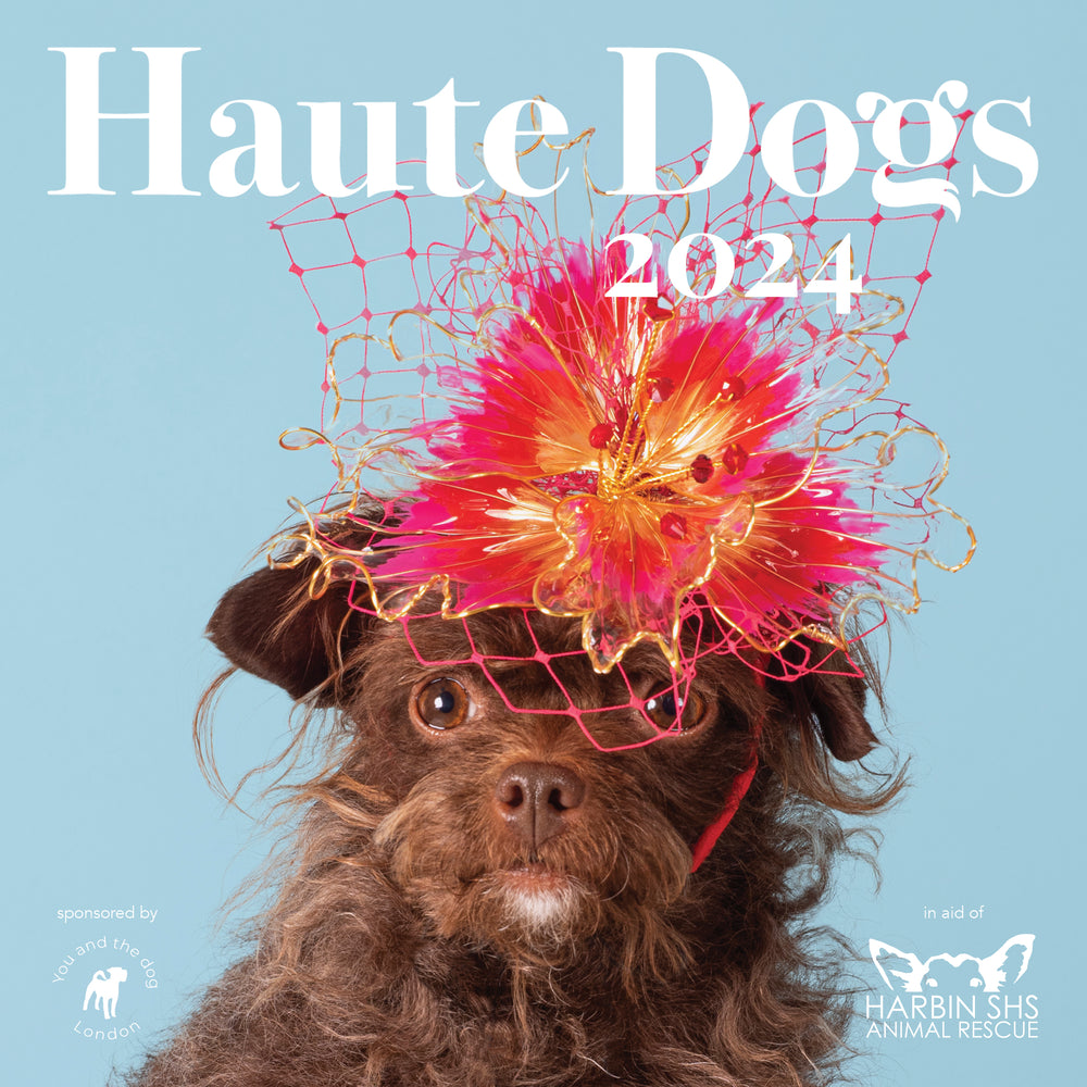 2024_Haute_Dogs_COVER.jpg