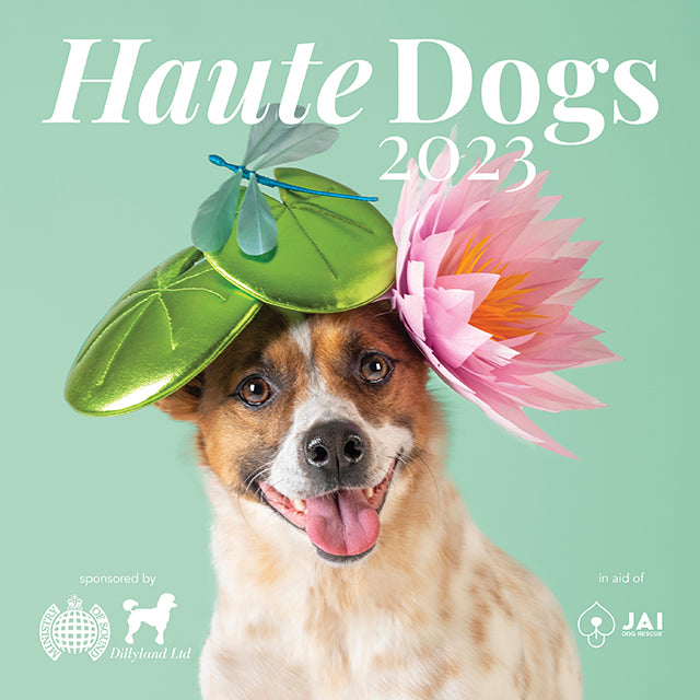 COVER_Haute_Dogs_2023.jpg