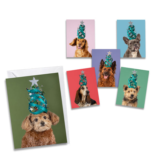 Christmas Cards - Pack of 6