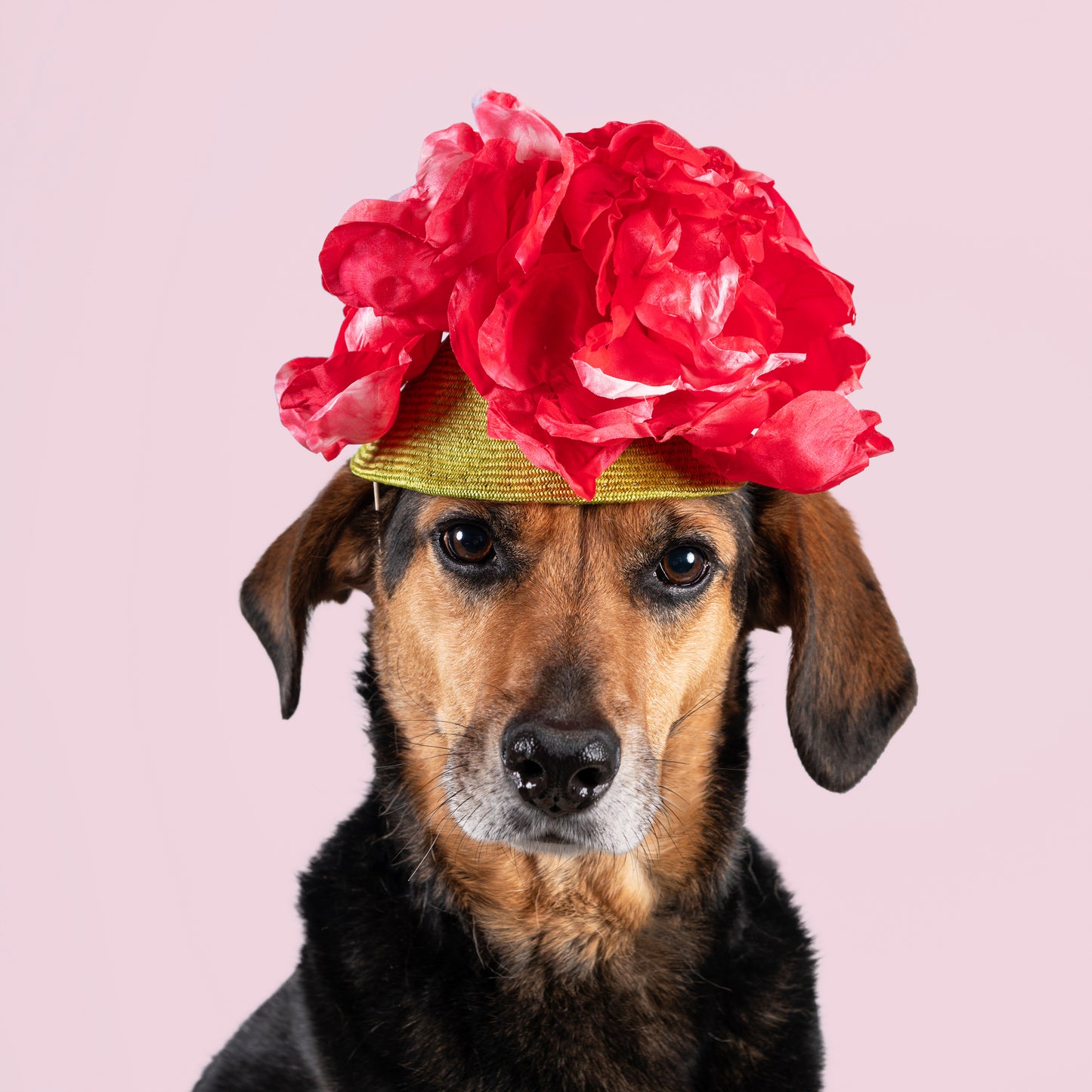 'Blooming' By Berry Rutjes Jr.