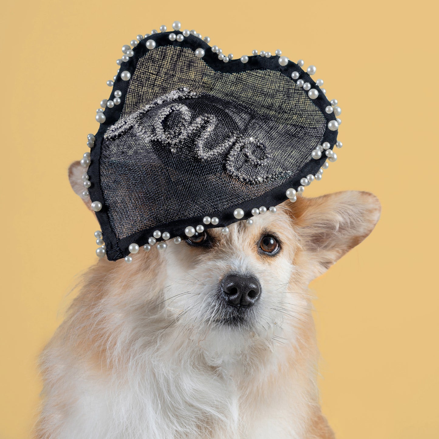 'Mini Love' By Misa Hirada