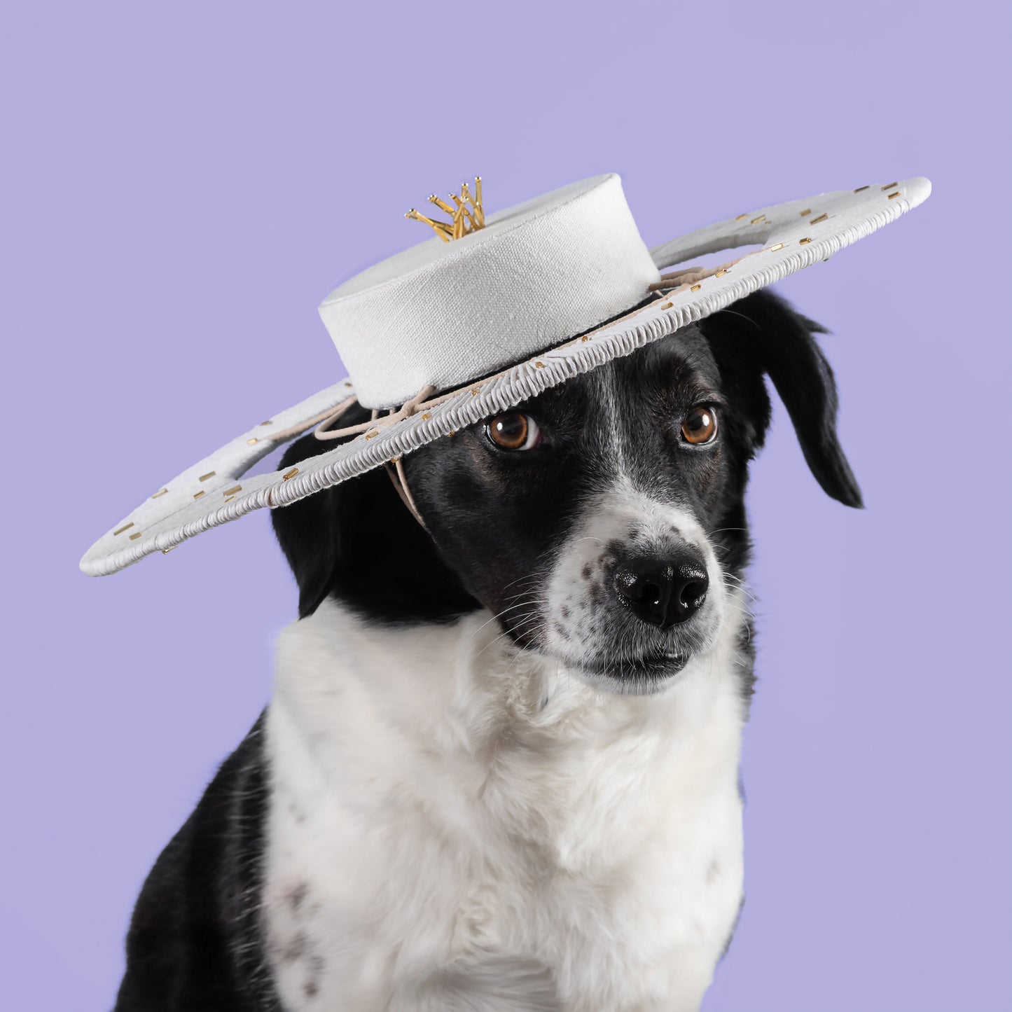 'Serene Siesta' By Virna Pasquinelli