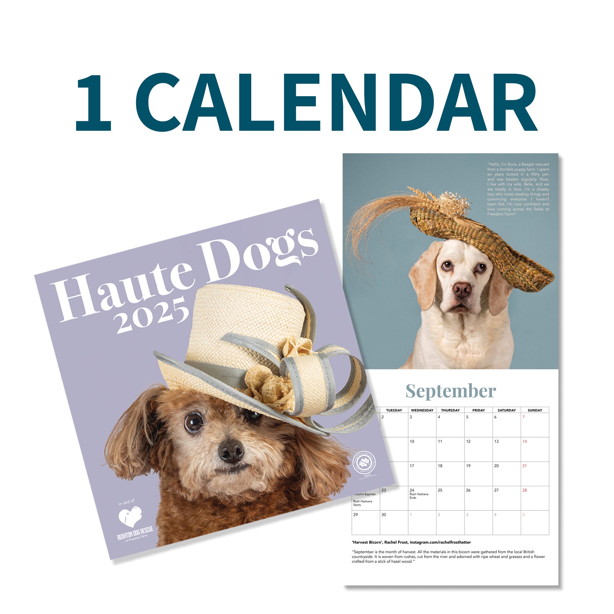 Haute Dogs Calendar 2025