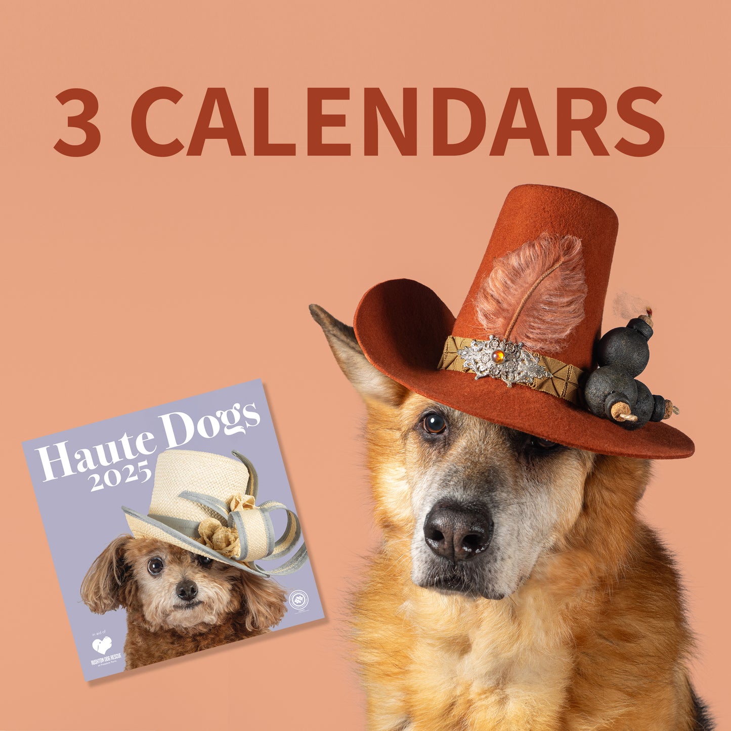 Haute Dogs x Rushton Dog Rescue 2025 - 3 calendars