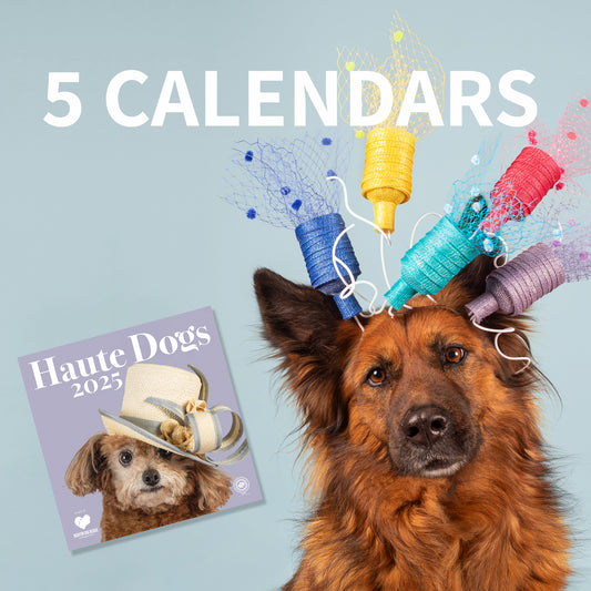 Haute Dogs x Rushton Dog Rescue 2025 - 5 calendars