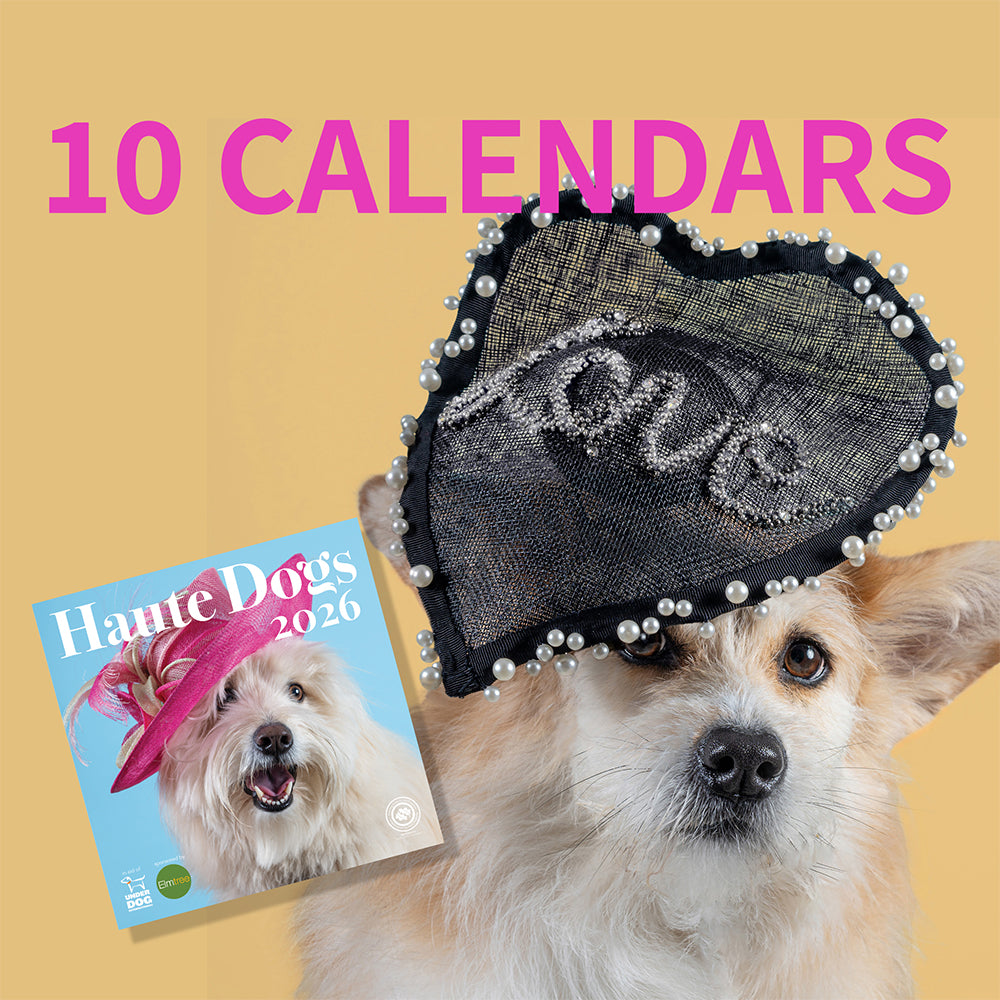 10 x 2026 Haute Dogs Calendars