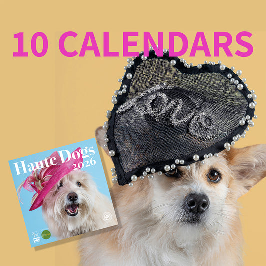 10 x 2026 Haute Dogs Calendars