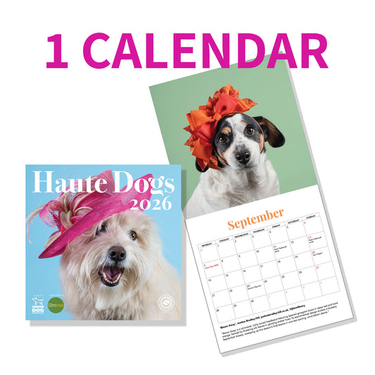 1 x 2026 Haute Dogs Calendar