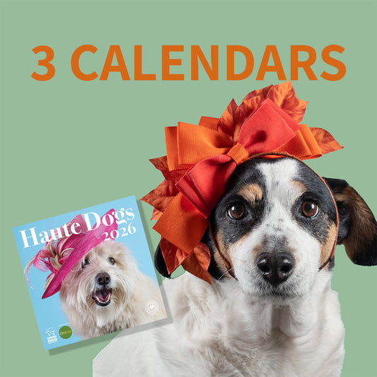 3 x 2026 Haute Dogs Calendars