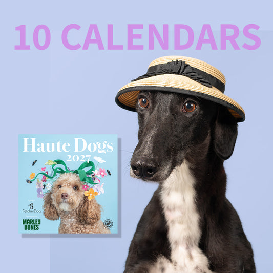 A dog-themed calendar cover shown on a light lavender background, with large pink text reading '10 CALENDAR' at the top. The main visual is a black-and-white dog wearing a straw hat, and a smaller inset preview of the calendar cover appears at lower left.