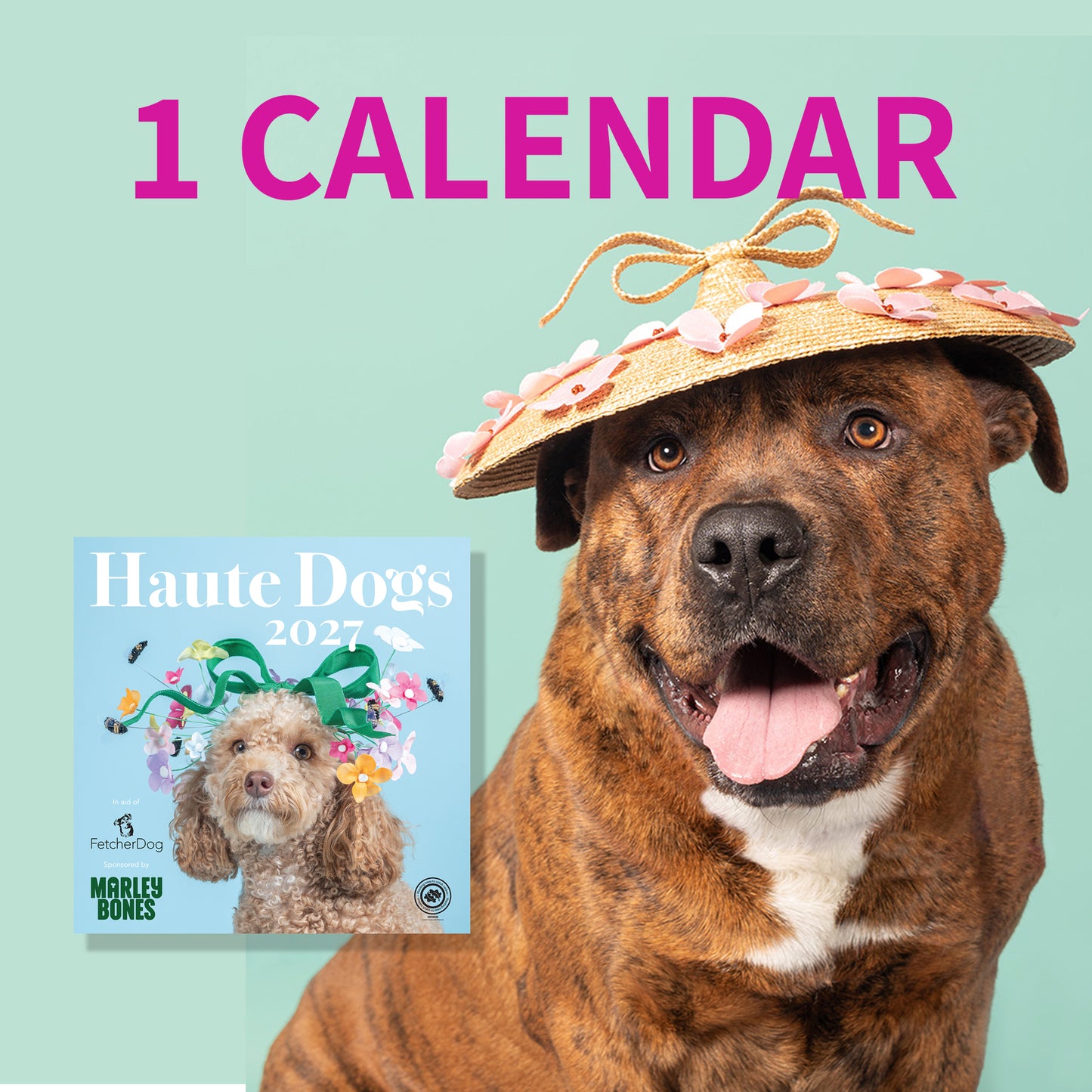 1 x 2027 Haute Dogs Calendar