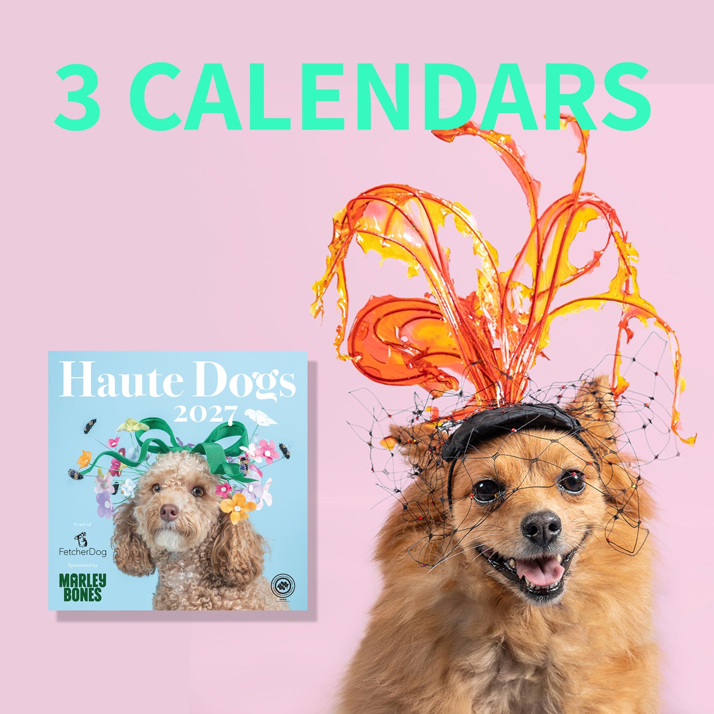 3 x 2027 Haute Dogs Calendars