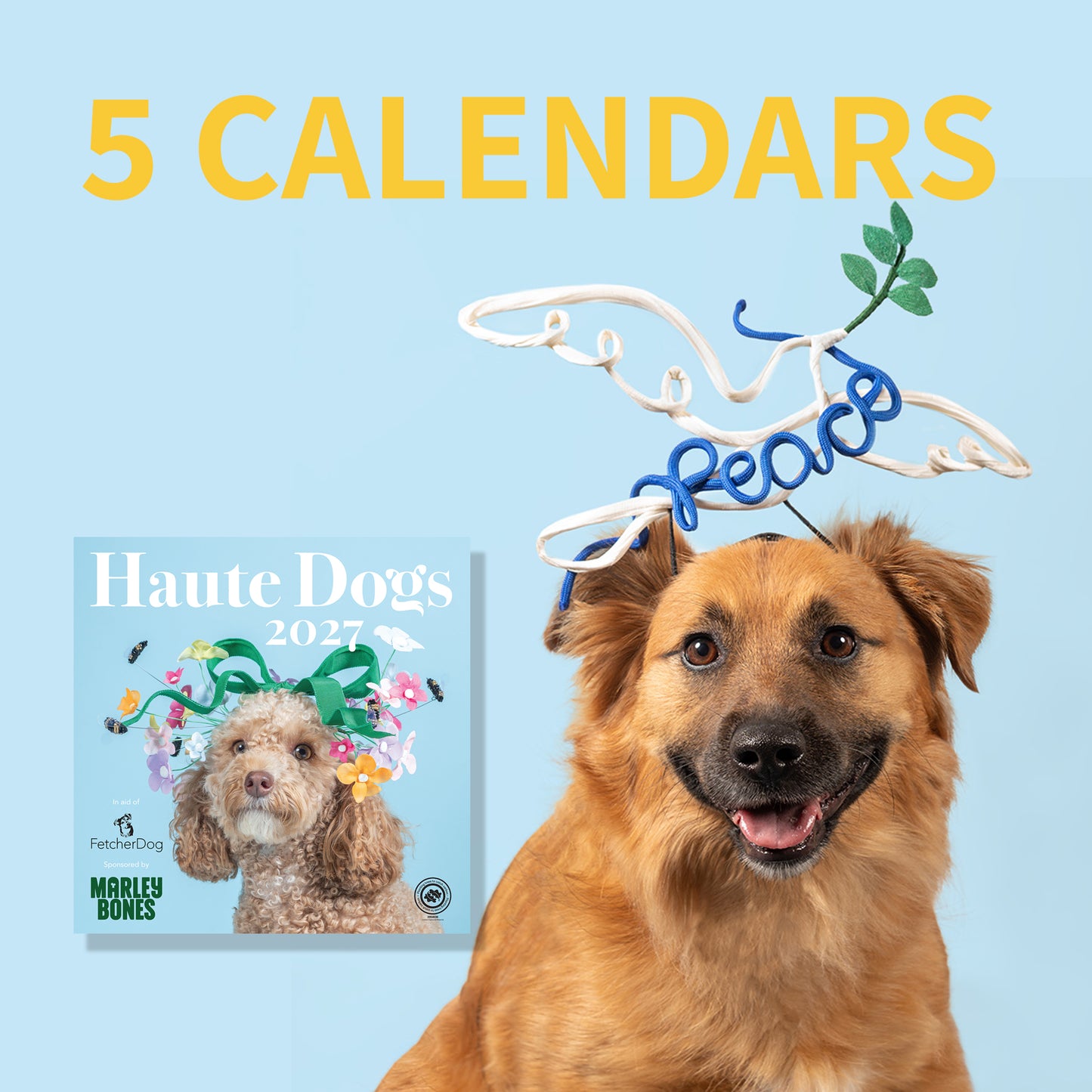 5 x 2027 Haute Dogs Calendars