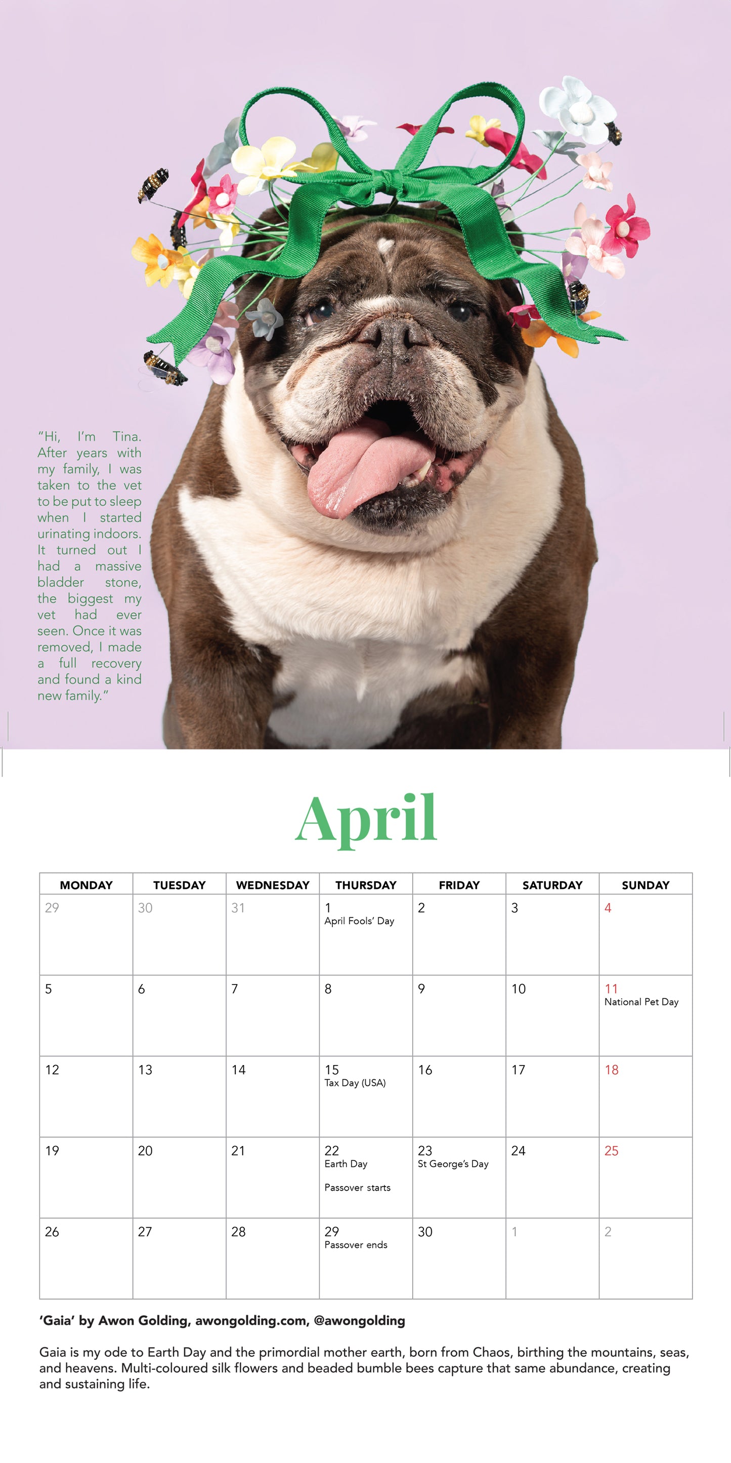 3 x 2027 Haute Dogs Calendars