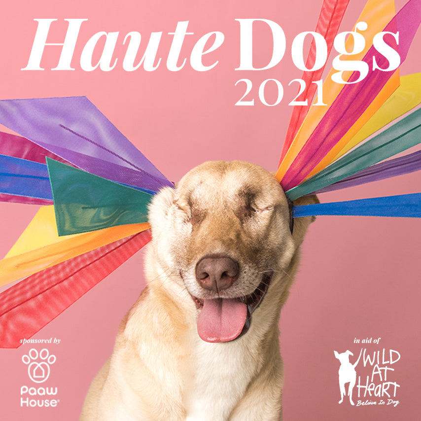 Haute_Dogs_2021_Cover_AwonGolding_MaggietheWunderdog.jpg