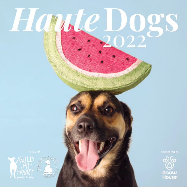 Haute_Dogs_2022_cover.jpg