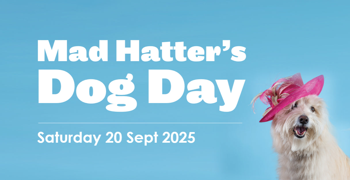 Promotional graphic for 'Mad Hatter's Dog Day' with a dog wearing a pink hat on a blue background.